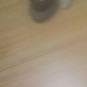 Meet your Posher, Charles